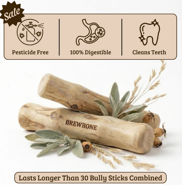 northerner tobacco Nicotine Pouch Blog UK | Guides, Brands & News northerner tobacco Nicotine Pouch Blog UK | Guides, Brands & News