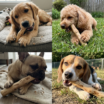 Brewbone® Coffee Wood Chew